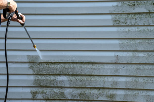 Best Stone Veneer Siding  in East Bakersfield, CA